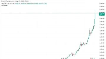 توقعات الذهب بالفيتنام.. قفزة تاريخية لسعر الأونصة في شركة SJC قبل عيد تيت